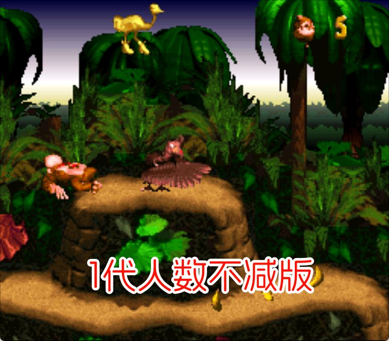 SFC大金刚